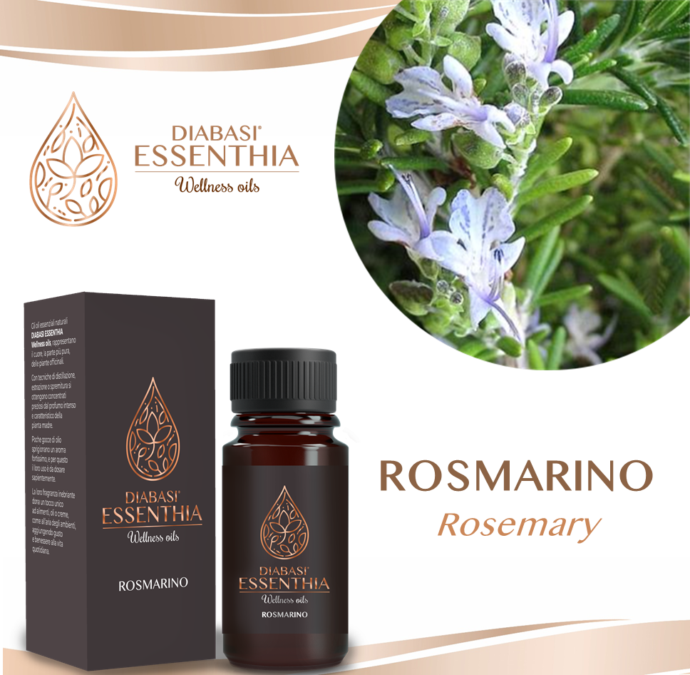 Rosmarino